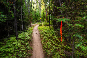 By James Holk - Running for beginners, new runner, how to get into running