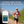 The Marathon Bundle (For All Runners)